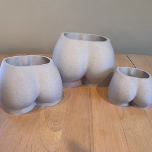 Butt Planter - Succulent Pot