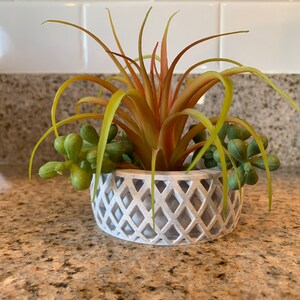 May include: A decorative faux succulent arrangement in a white, diamond-patterned pot. The arrangement features a central plant with orange and green leaves, surrounded by smaller green succulents. The pot sits on a speckled countertop.