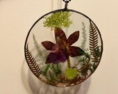 Pressed Purple Orchid necklace, Cattleya, Queen Anne, Fern stained glass, plant terrarium, dark academia, Cottage core, Mothers Day