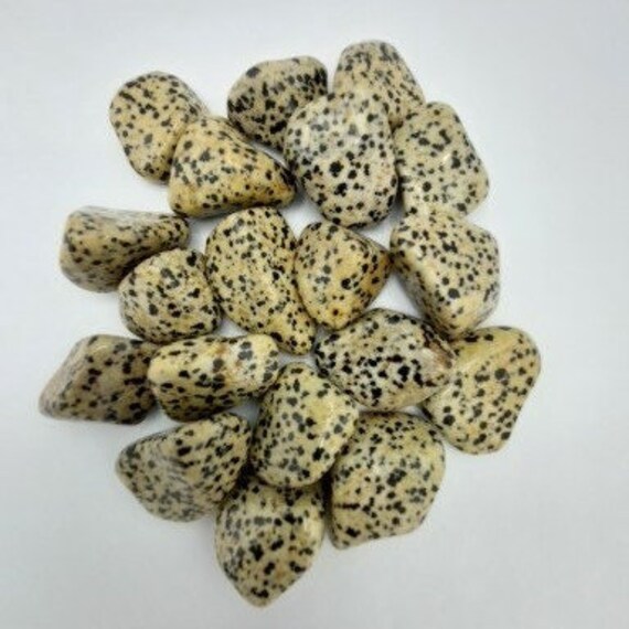 Dalmatian Jasper Tumblestones