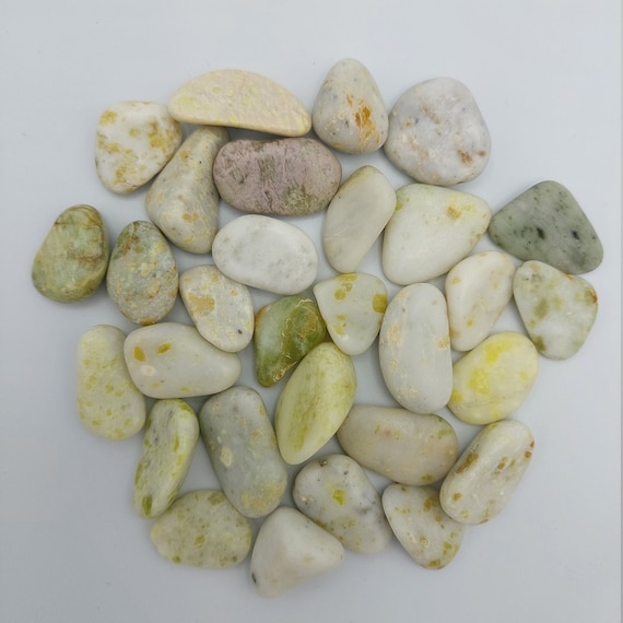 Tree Agate crystal tumble stones