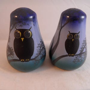 May include: A pair of ceramic salt and pepper shakers. Each shaker is pear-shaped and features a black owl perched on a branch against a gradient background of blue and teal. The owl has large yellow eyes.