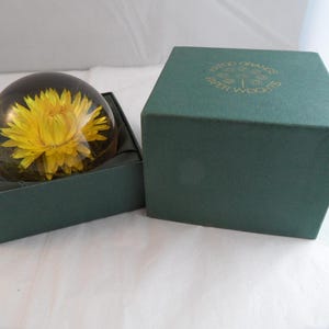 Hafod Grange Chrysanthemum paperweight - boxed