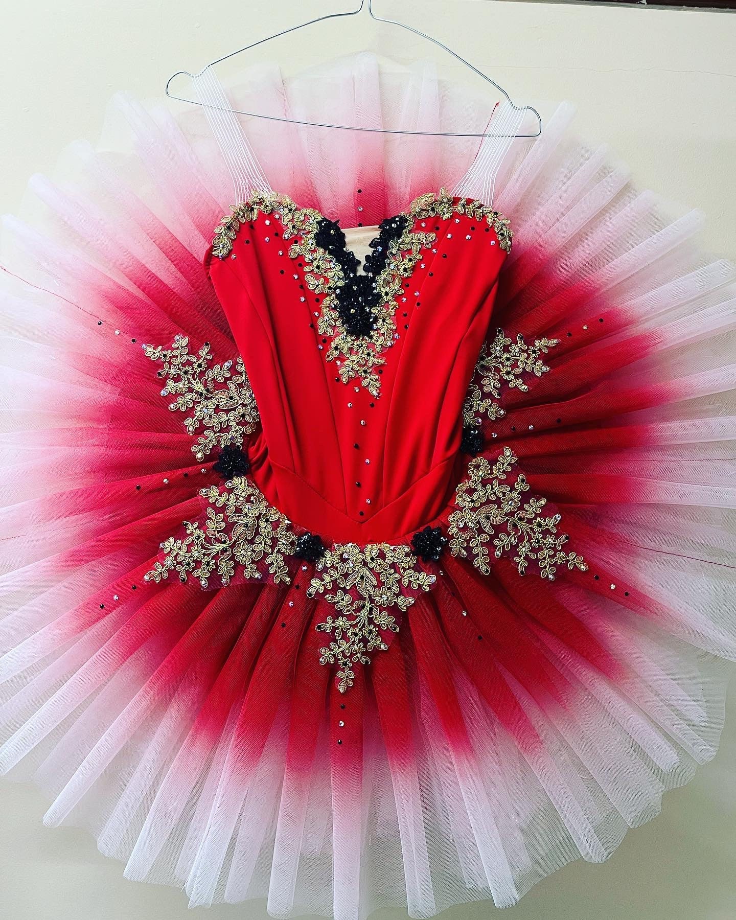 Tutu Examples Bespoke Made to Order Professional Ombré Pancake Ballet Tutu photos Are ...