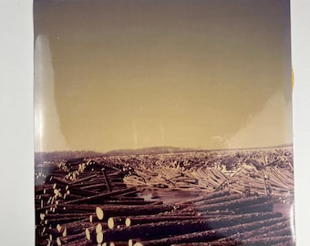 Vintage Kodak-foto van de houtkap, groot formaat (11x11 inch), sepiatint, kunstwerk van de houtindustrie.