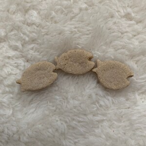 Charlottes Fish Friends/Rabbit treat/Small animal treat