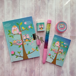 Owls Journal Diary notebook and accessories. Good for school and/or everyday use. Great Back to School gift.