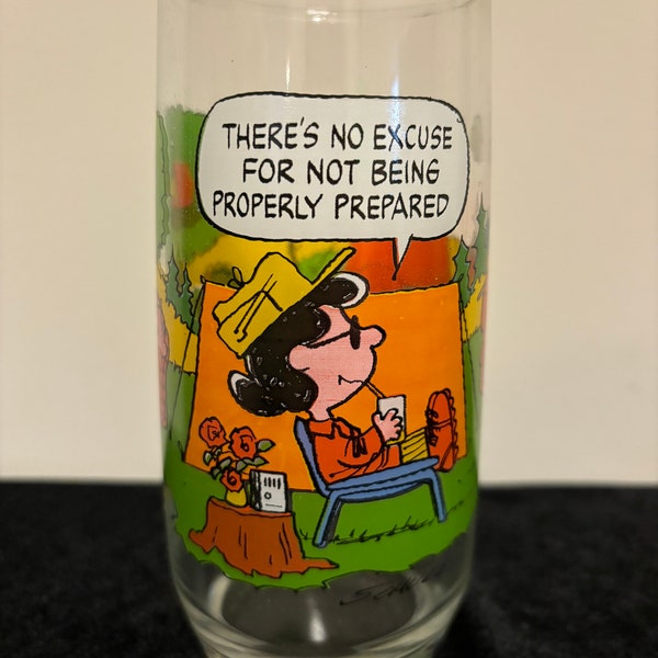 Vintage Collectible Charlie Brown and Snoopy Camping glass tumbler