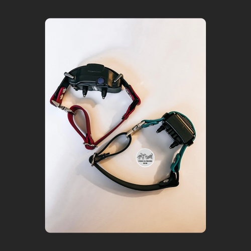 Ecollar Adjustable Quick Release Bungee Strap 3/4 Etsy