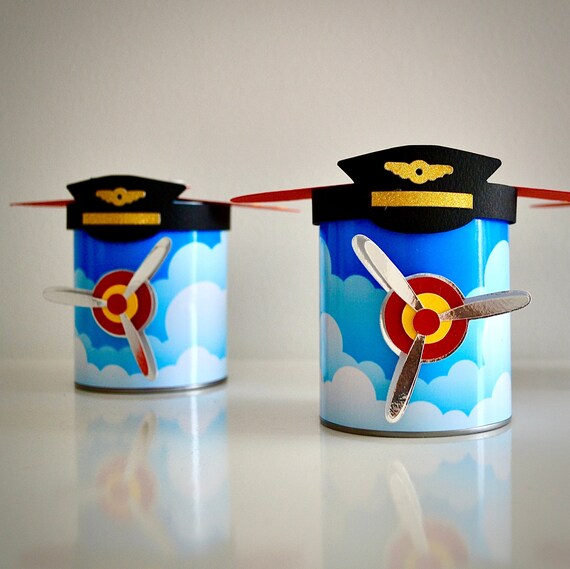 Custom Pringles Airplane Party Decorations Airplane Etsy
