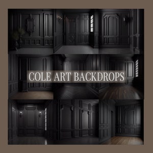 Black Paneled Wall Digital Backdrops, Maternity Backdrop Overlays, Studio Backdrop Overlays, Fine Art Textures, Photoshop Overlays