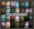 Canvas Floral Texture Set Digital Backdrops, Maternity Backdrop Overlays, Studio Backdrop Overlays, Fine Art Textures, Photoshop Overlays