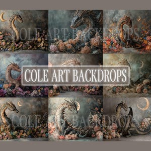 Flower Dragon Set Digital Backdrops, Maternity Backdrops, Studio Backdrops, Digital Backgrounds
