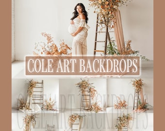 Boho Ladders set Digital Backdrops, Maternity Backdrops, Boho Backdrops, Digital Backgrounds