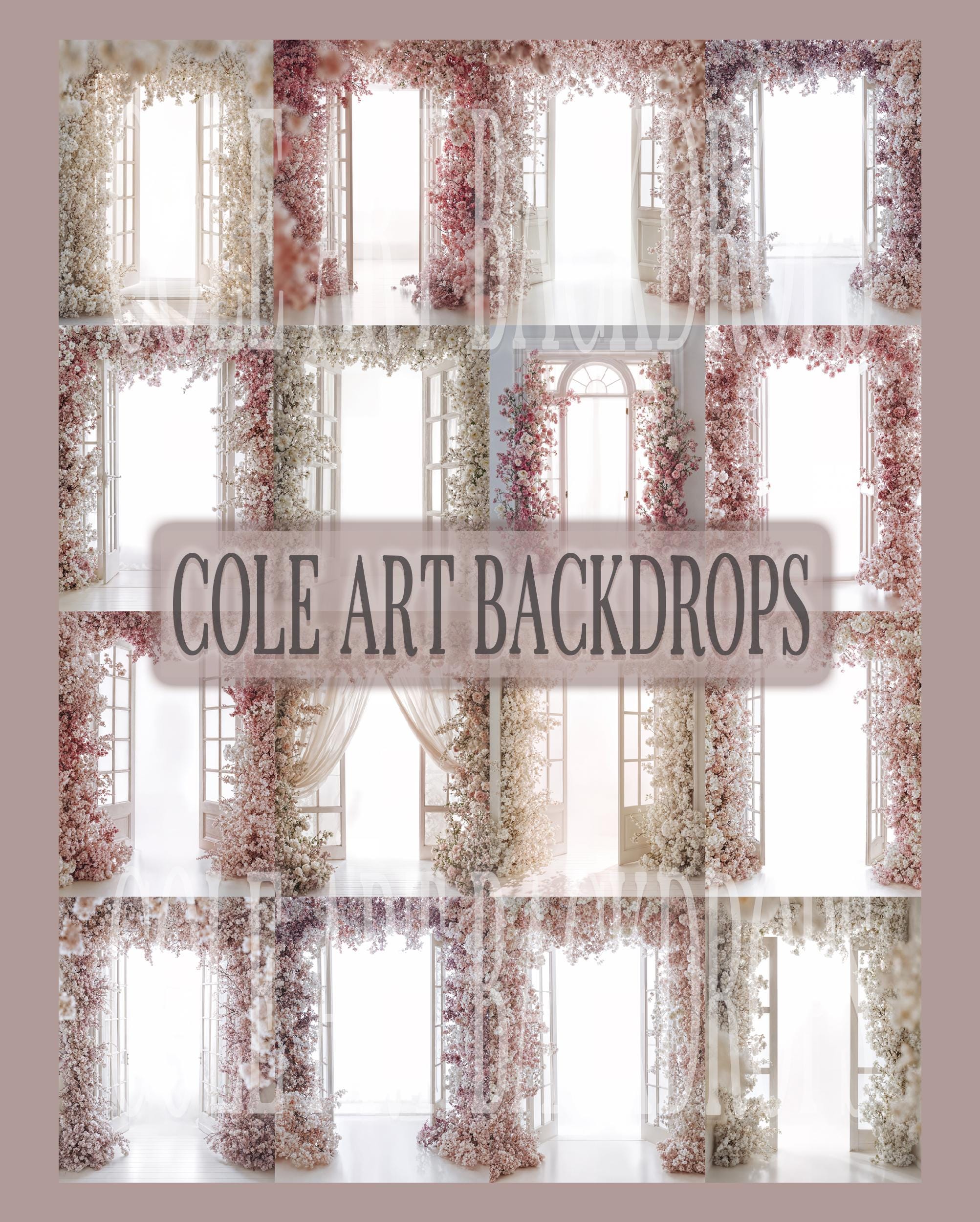 Backlit French Doors Set Digital Backdrops, Maternity Backdrops, Digital Backgrounds
