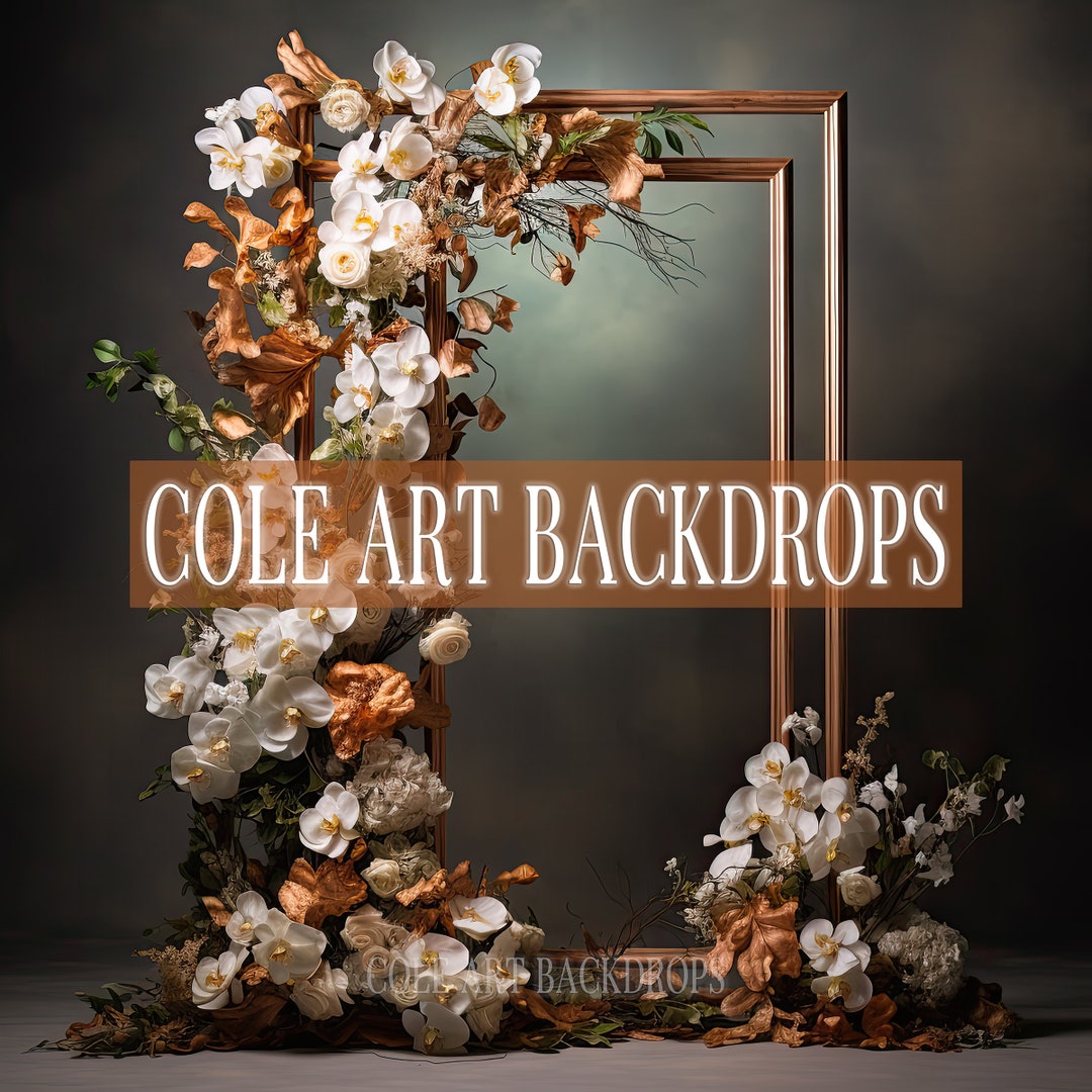 Frame Me Neutrals 2 Printed Backdrop, Fabric Backdrops, Printed Frame ...
