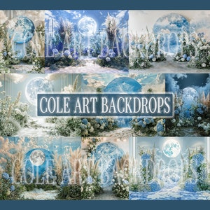 A Little Blue Moon set Digital Backdrops, Maternity Backdrops, Studio Backdrops, Digital Backgrounds