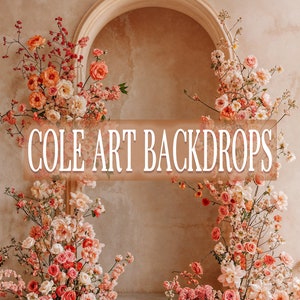 Spring Air 4 , Printed Backdrop, Fabric Backdrops, Printed Sweep Backdrop, Photography Backdrops