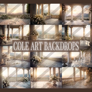 Floral Stone Balcony Set Digital Backdrops, Maternity Backdrop Overlays, Studio Backdrop Overlays, Fine Art Textures, Photoshop Overlays
