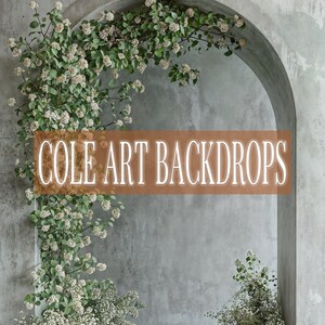 Earthly Arches 10 , Printed Backdrop, Fabric Backdrops, Printed Sweep Backdrop, Photography Backdrops