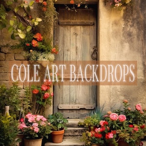 Wood Floral Door 7 Printed Backdrop, Fabric Backdrops, Printed Sweep Backdrop, Photography Backdrops