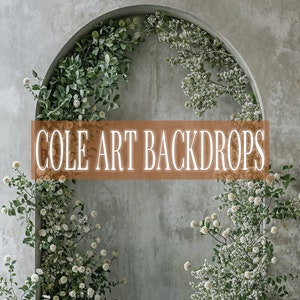 Earthly Arches 7 , Printed Backdrop, Fabric Backdrops, Printed Sweep Backdrop, Photography Backdrops