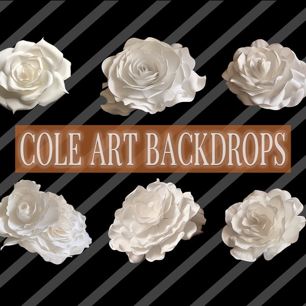 White Rose Headpiece Overlays, Maternity Backdrop Overlays, Studio Backdrop Overlays, Fine Art Textures, Photoshop Overlays