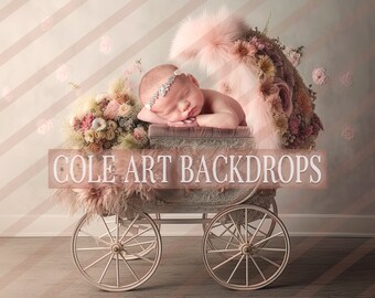 May include: A newborn baby sleeping in a white vintage baby carriage decorated with pink flowers and a faux fur blanket. The carriage is on a wooden floor with a pink and white striped background. The text "COLE ART BACKDROPS" is visible in the image.