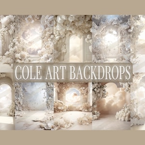 Into The Clouds Digital Backdrops, Maternity Backdrop Overlays, Studio Backdrop Overlays, Fine Art Textures, Photoshop Overlays