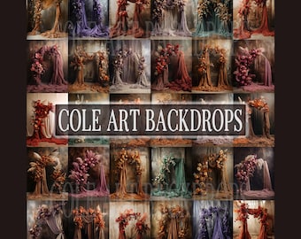 The Color Arches Set Digital Backdrops, Maternity Backdrop Overlays, Studio Backdrop Overlays, Fine Art Textures, Photoshop Overlays
