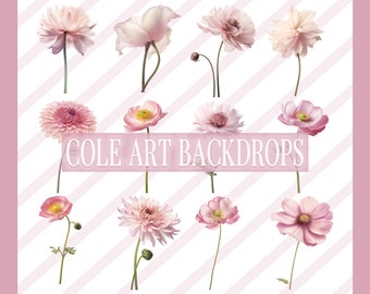 Pink Flower Overlays, Maternity Overlays, Floral Clip Art, Floral Graphics, Photoshop Overlays