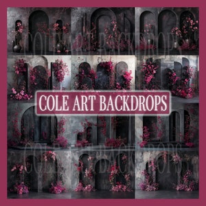 Magenta Installation Set Digital Backdrops, Maternity Backdrops, Studio Backdrops, Digital Backgrounds