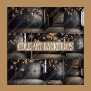 A Starry Night Digital Backdrops, Maternity Backdrop Overlays, Studio Backdrop Overlays, Fine Art Textures, Photoshop Overlays