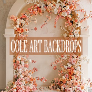 Spring Air 3 , Printed Backdrop, Fabric Backdrops, Printed Sweep Backdrop, Photography Backdrops