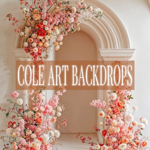 Spring Air 9 , Printed Backdrop, Fabric Backdrops, Printed Sweep Backdrop, Photography Backdrops