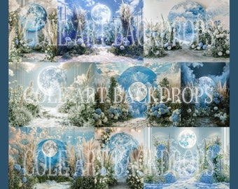 専用商品 リトルブルームーンセットデジタル背景、マタニティ背景、スタジオ背景