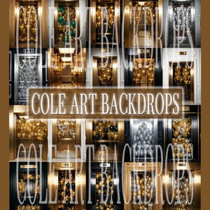 May include: A collage of elevator-themed backdrops, each showcasing a different color scheme of balloons. The backdrops feature gold, silver, black, and green balloons. The text "COLE ART BACKDROPS" is overlaid on the image.