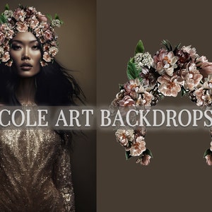 Pink Floral Headpiece Digital Overlays, Maternity Backdrop Overlays, Studio Backdrop Overlays, Fine Art Textures, Photoshop Overlays