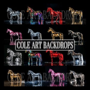 Renaissance Horse Set Digital Backdrops, Maternity Backdrops, Boho Backdrops, Digital Backgrounds