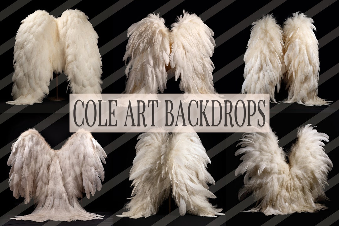 ANGEL IN CLOUDS Vinyl FaceDoll配達ダンボール未開封 ANGEL IN CLOUDS Vinyl FaceDoll配達ダンボール未開封 - メルカリ