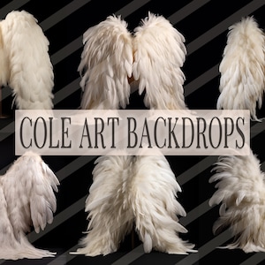 White Fluffy Angel Wings Digital Overlays, Maternity Backdrop Overlays, Studio Overlays, Fine Art Textures, Photoshop Overlays