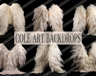 White Fluffy Angel Wings Digital Overlays, Maternity Backdrop Overlays, Studio Overlays, Fine Art Textures, Photoshop Overlays