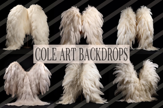 White Fluffy Angel Wings Digital Overlays, Maternity Backdrop Overlays, Studio Overlays, Fine Art Textures, Photoshop Overlays