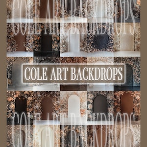Sparkly Twinkle Light Neutral Arches Set Digital Backdrops, Maternity Backdrops, Digital Backgrounds