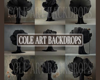 Black Adelaide set Digital Backdrops, Maternity Backdrops, Studio Backdrops, Digital Backgrounds