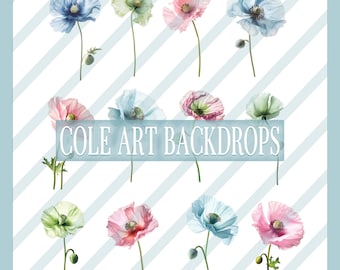 Colorful Poppy Overlays, Maternity Overlays, Floral Clip Art, Floral Graphics, Photoshop Overlays