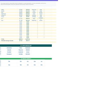 Budget Planner Google Sheets | Monthly Budget Spreadsheet | Financial Planner | Island Vibes | Debt Tracker | 50/30/20 image 10