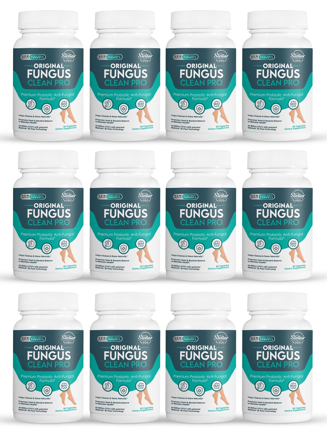 12 Pack Fungus Clean Pro Probiotic Fungus Support60 Capsules Etsy