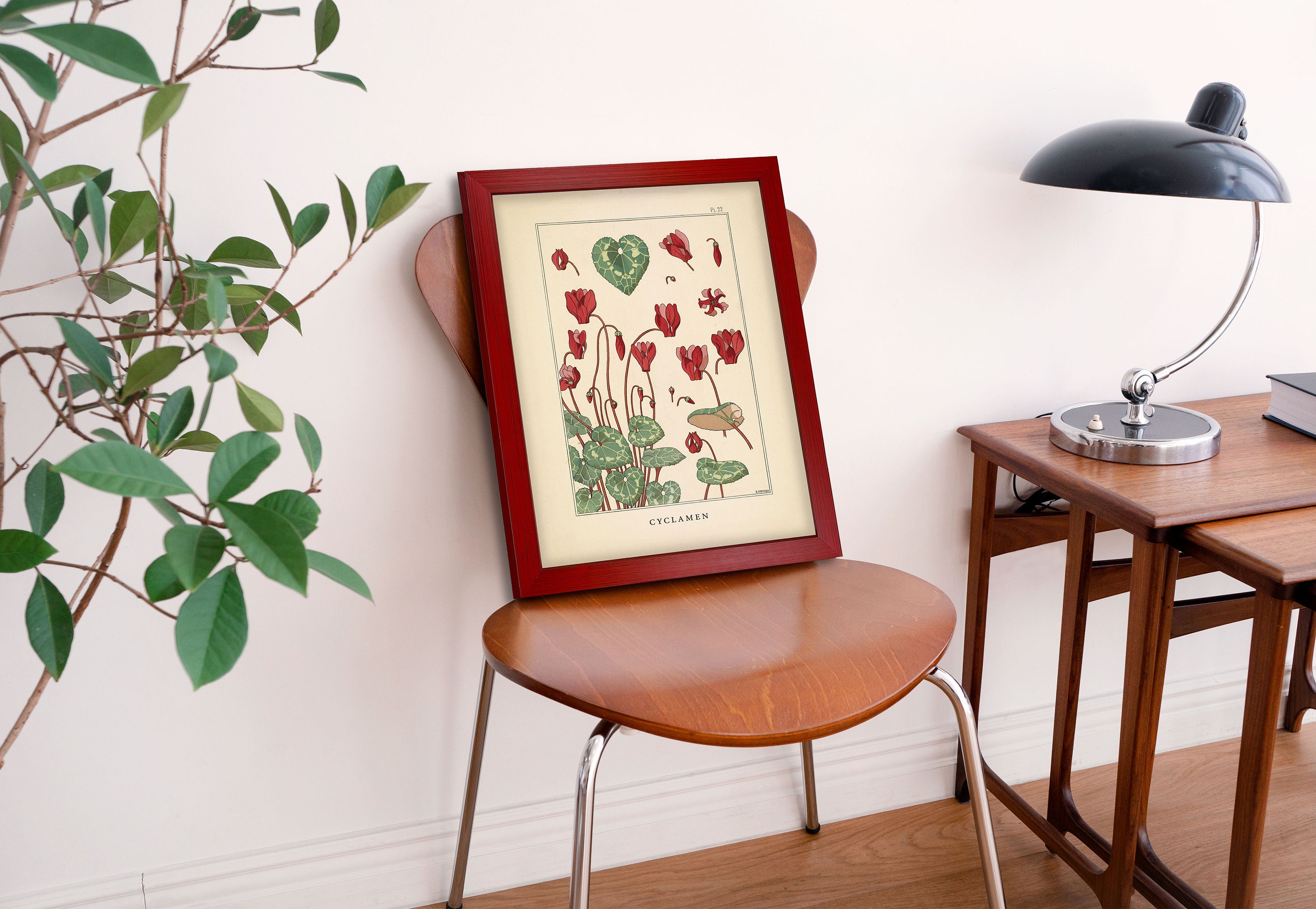 Framed Vintage Poster Flower Botanical Illustration Art Print - Etsy