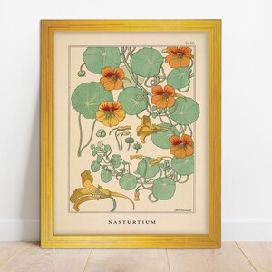 Framed Vintage Poster Flower Botanical Illustration Art Print Wall Decor Artwork Barnwood Maximalist Eclectic Picture Frame 8x10 11x14 16x20